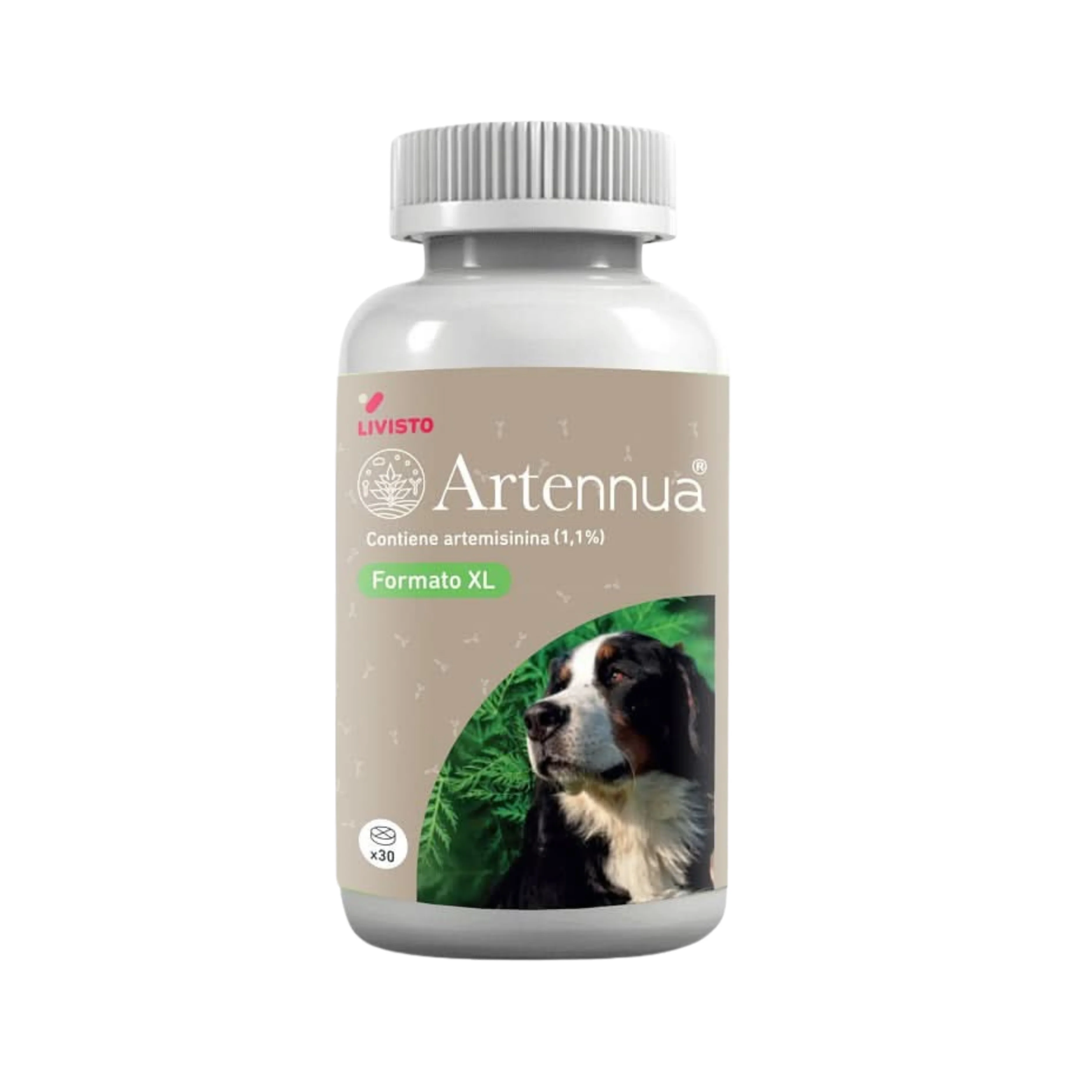 ARTENNUA XL 30cpr - Immunità E Benessere Con Estratto di Artemisia