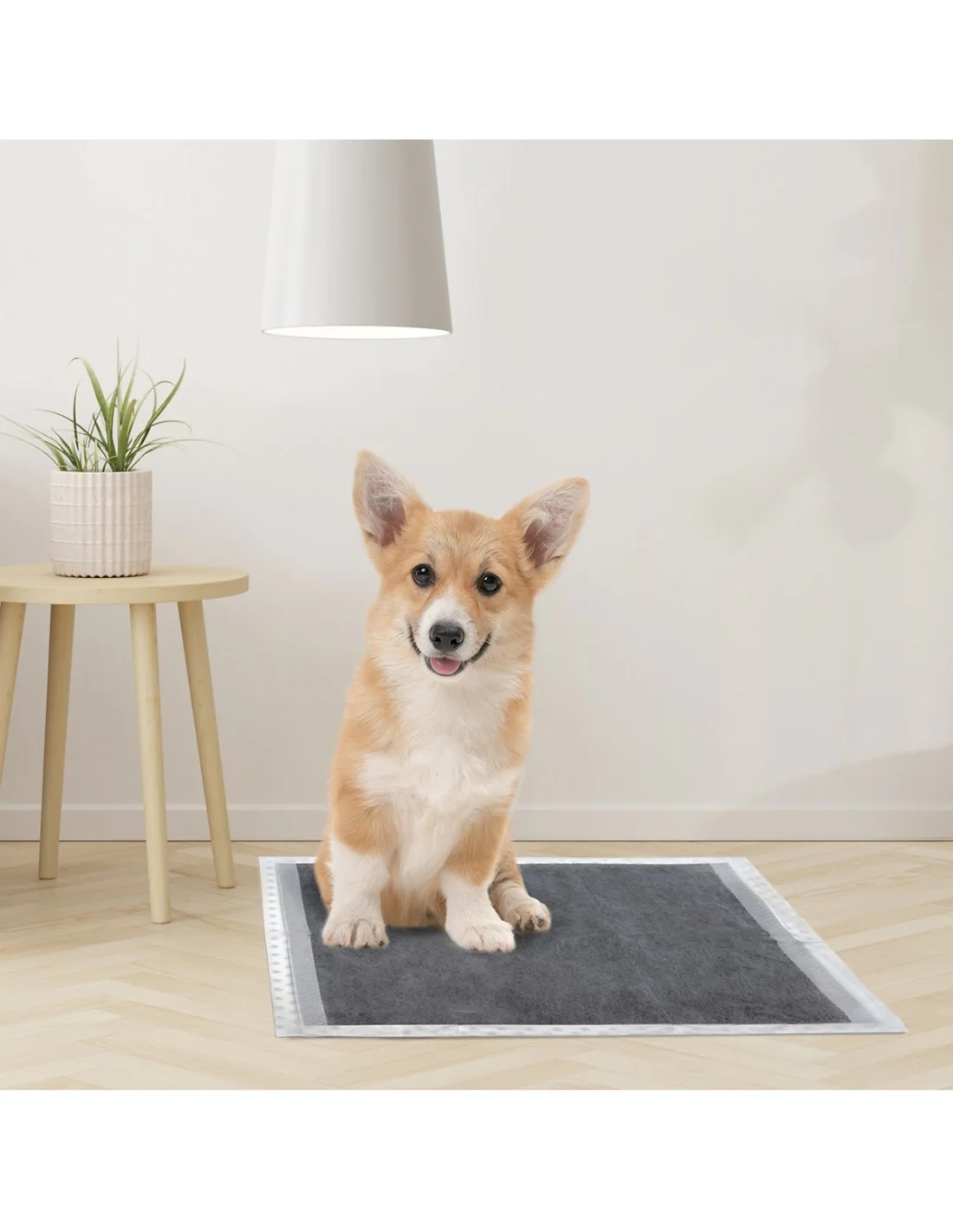 TAPPETINI ASSORBIPIÙ 60×60 cm (40 pezzi) - Igiene per Cani al Top - Image 3