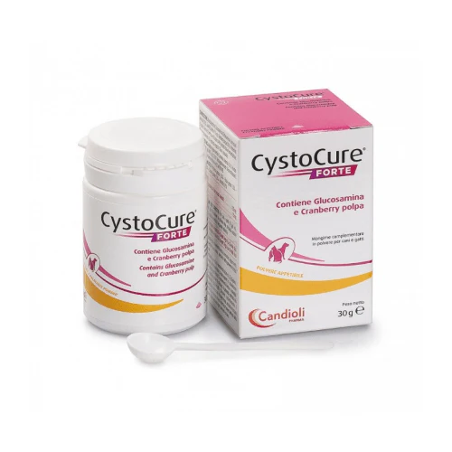 CYSTOCURE FORTE CANE GATTO – Benessere delle basse vie urinarie - Image 2