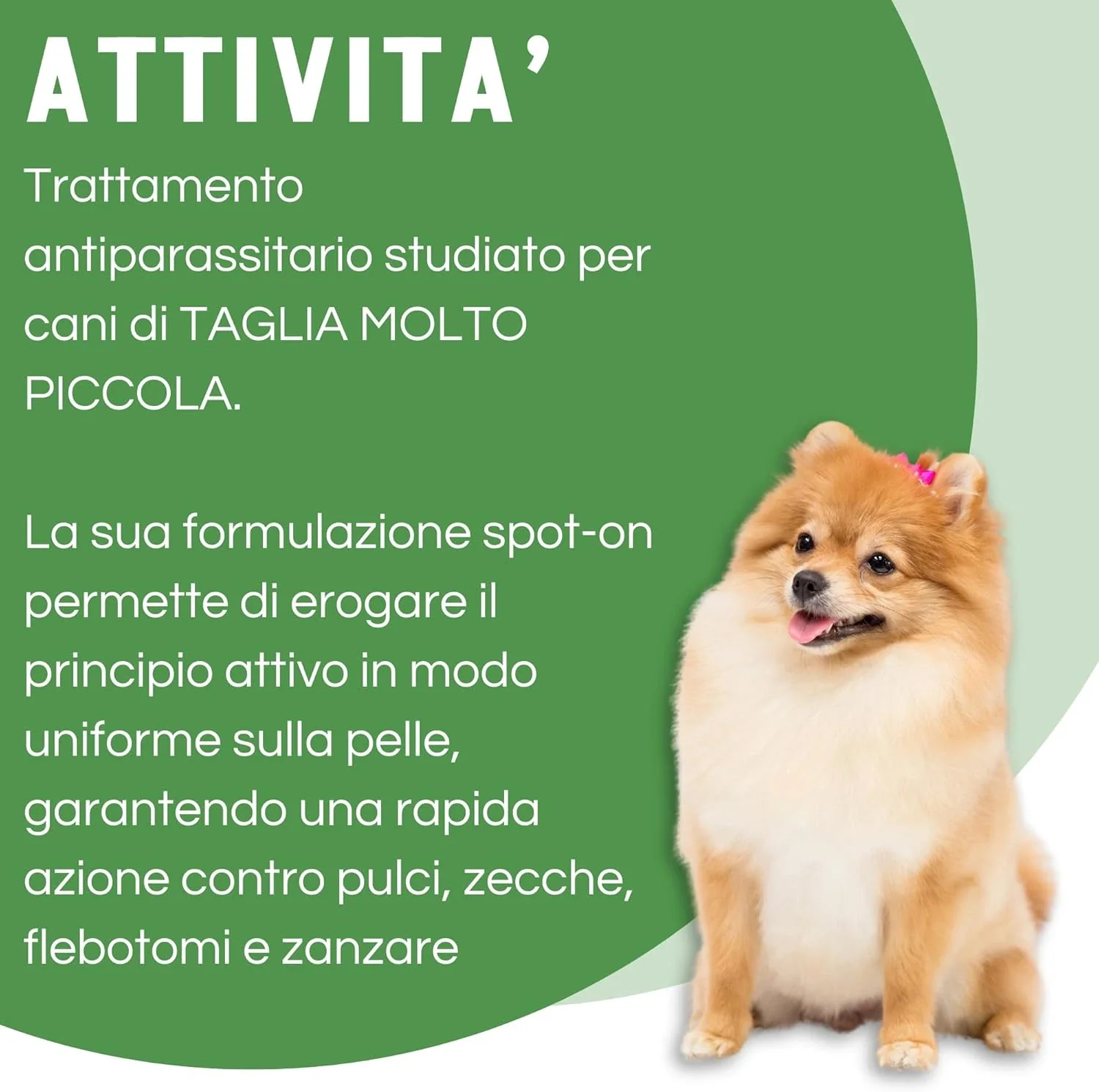 EVER4 SPOT ON CANI 1,5-4 kg - Image 3