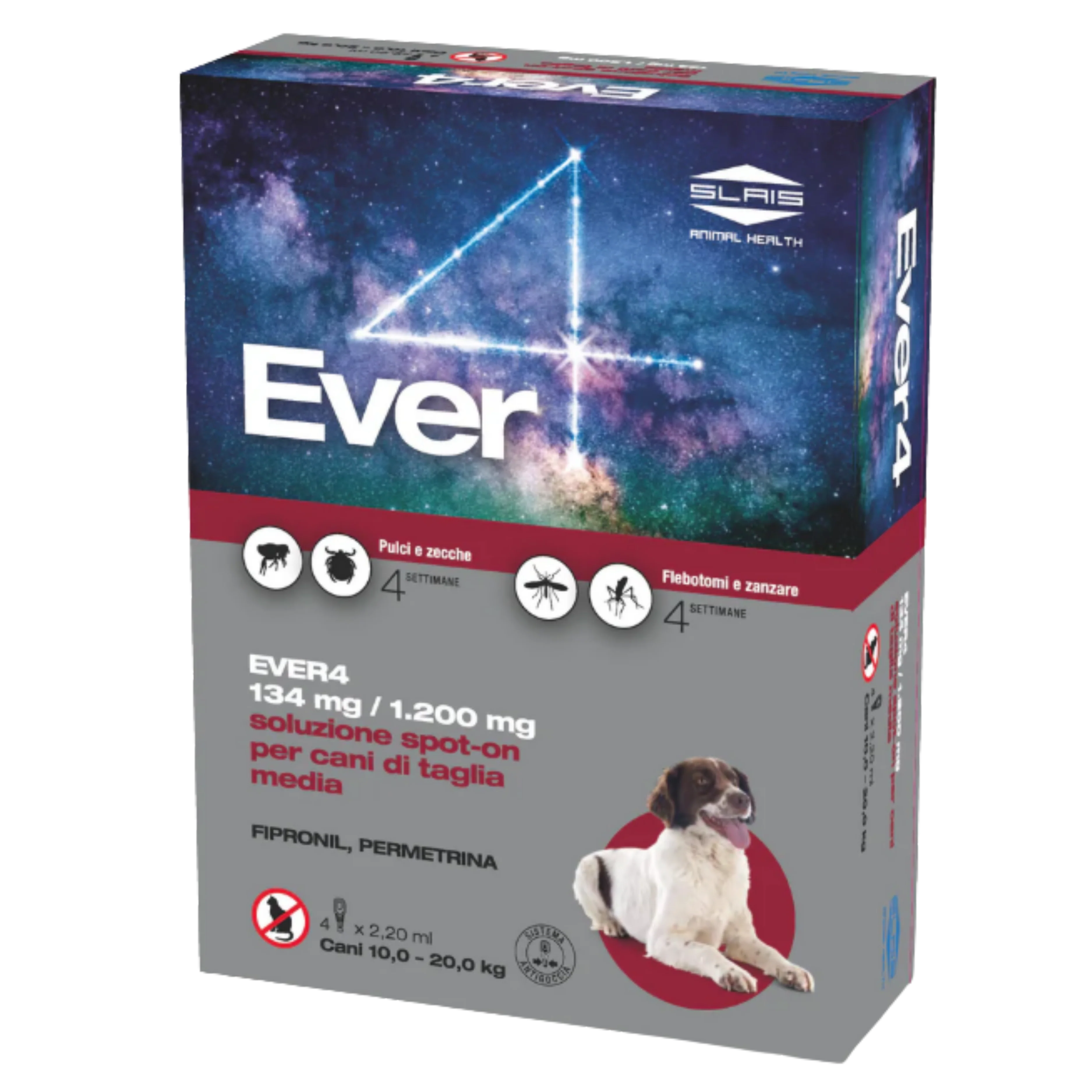 EVER4 SPOT ON CANI 10-20 kg