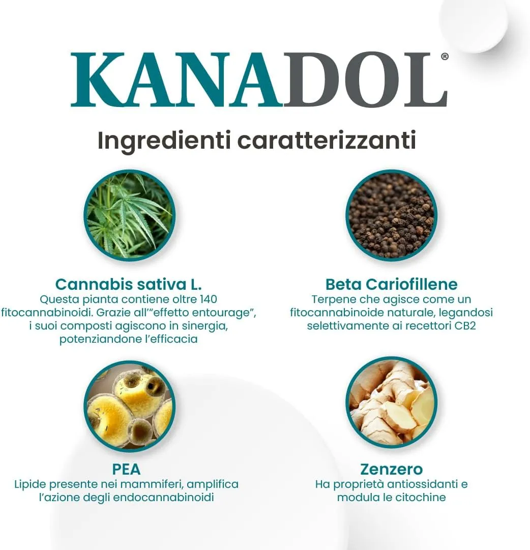 KANADOL 50 cpr - Benessere Cani Per Gatti - Image 5