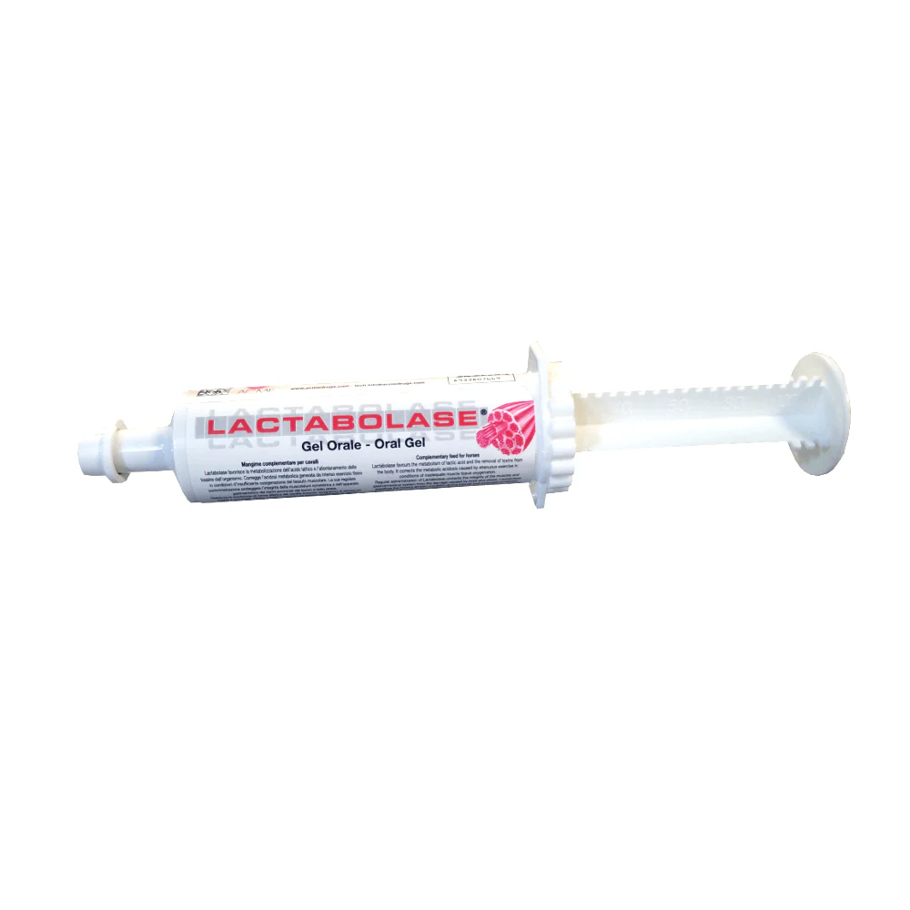 LACTABOLASE GEL siringa da 100 gr - per la metabolizzazione dell'acido lattico