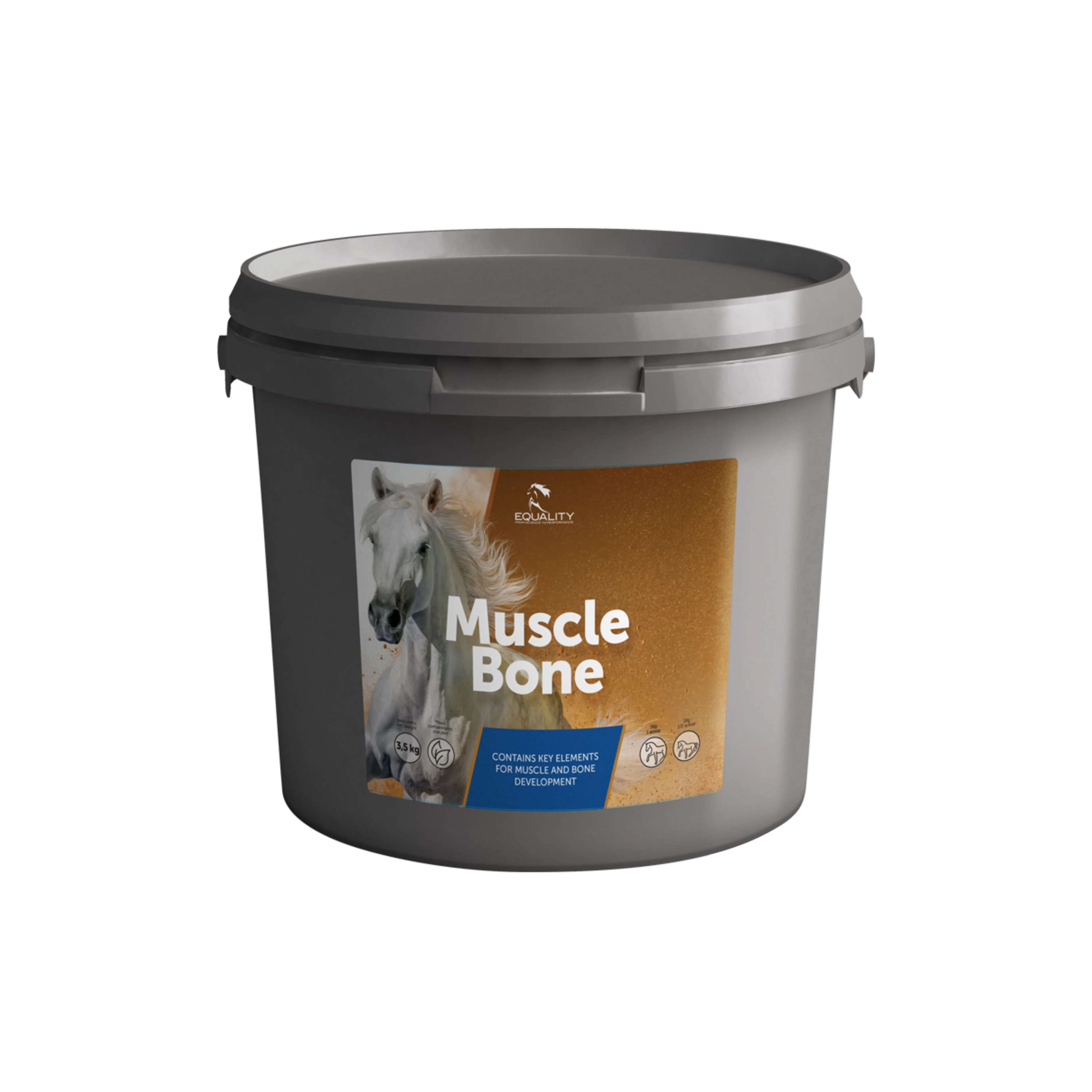 MUSCLE BONE - Supporto Per Ossa e Muscoli