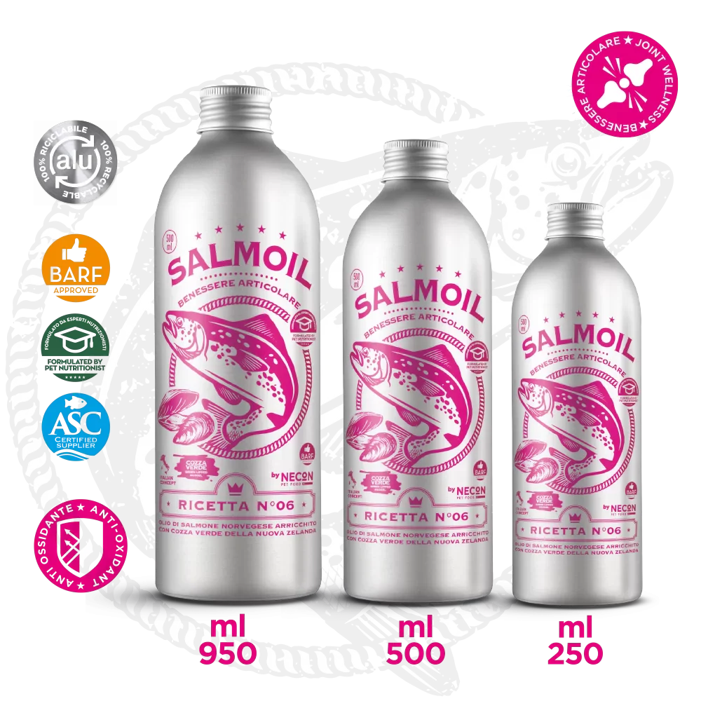 NECON SALMOIL RICETTA 6 250 ml - Benessere articolare - Image 3