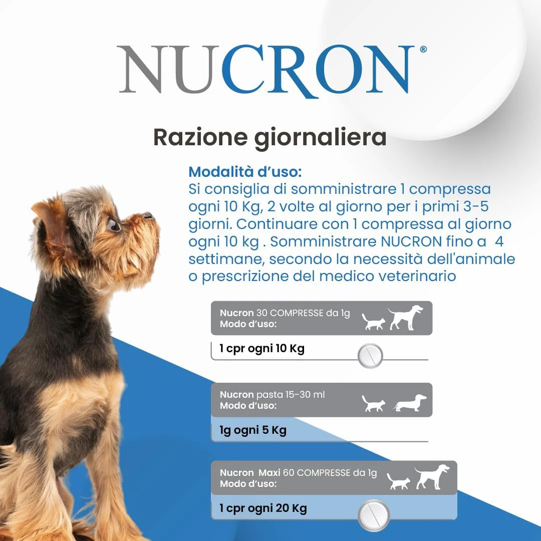 NUCRON PASTA 15g - Stabilizza la Digestione Di Cani e Gatti - Image 2