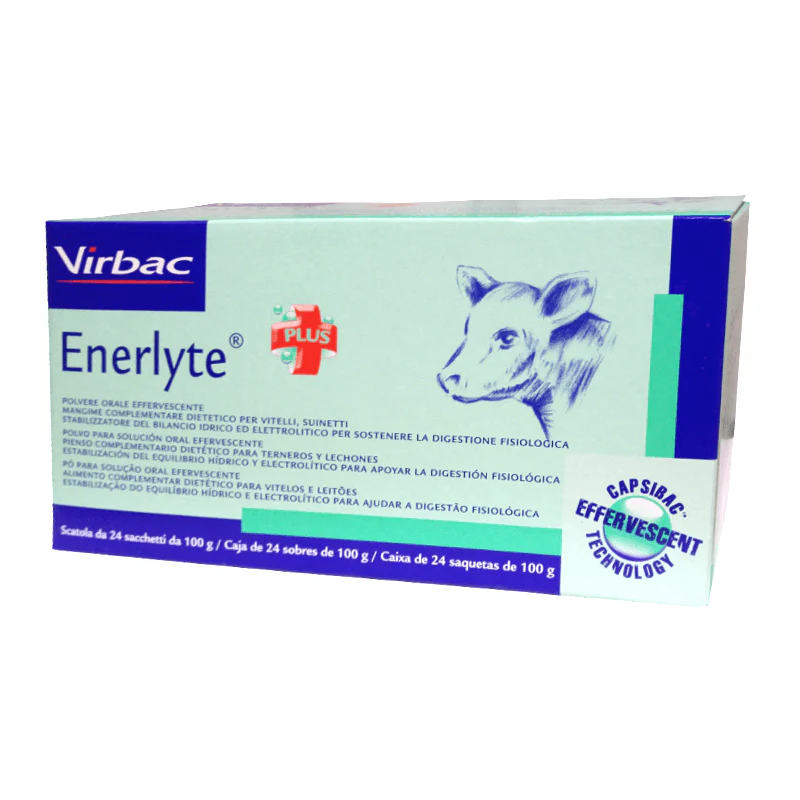 ENERLYTE (24 buste da 100 gr) – Reidratante energetico elettrolitico