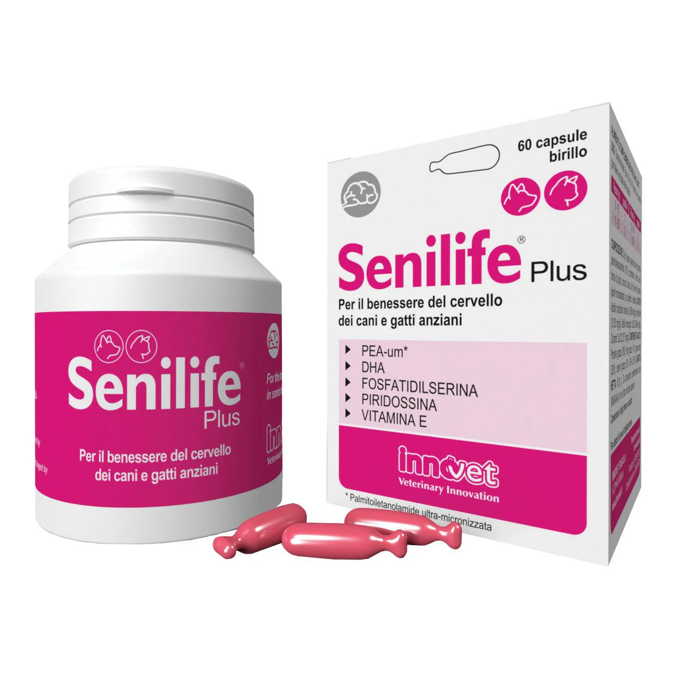 SENILIFE PLUS CANE GATTO (60 cpr) – Contro l’invecchiamento cerebrale
