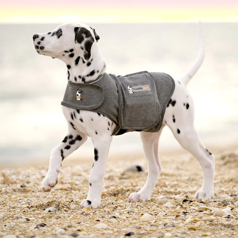 THUNDERSHIRT (M) - Gilet calmante per cani - Image 3